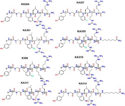 Design and development of novel, short, stable dynorphin-based opioid agonists for safer analgesic therapy